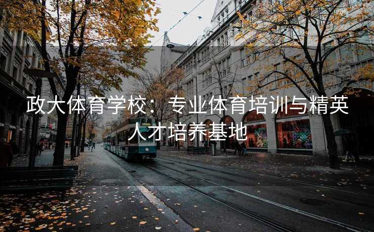 政大体育学校：专业体育培训与精英人才培养基地